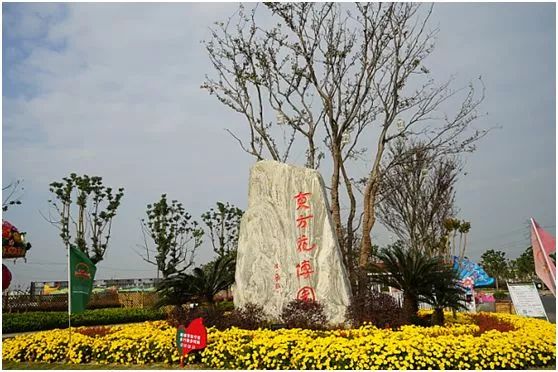 苏州澄湖国际慢城图片