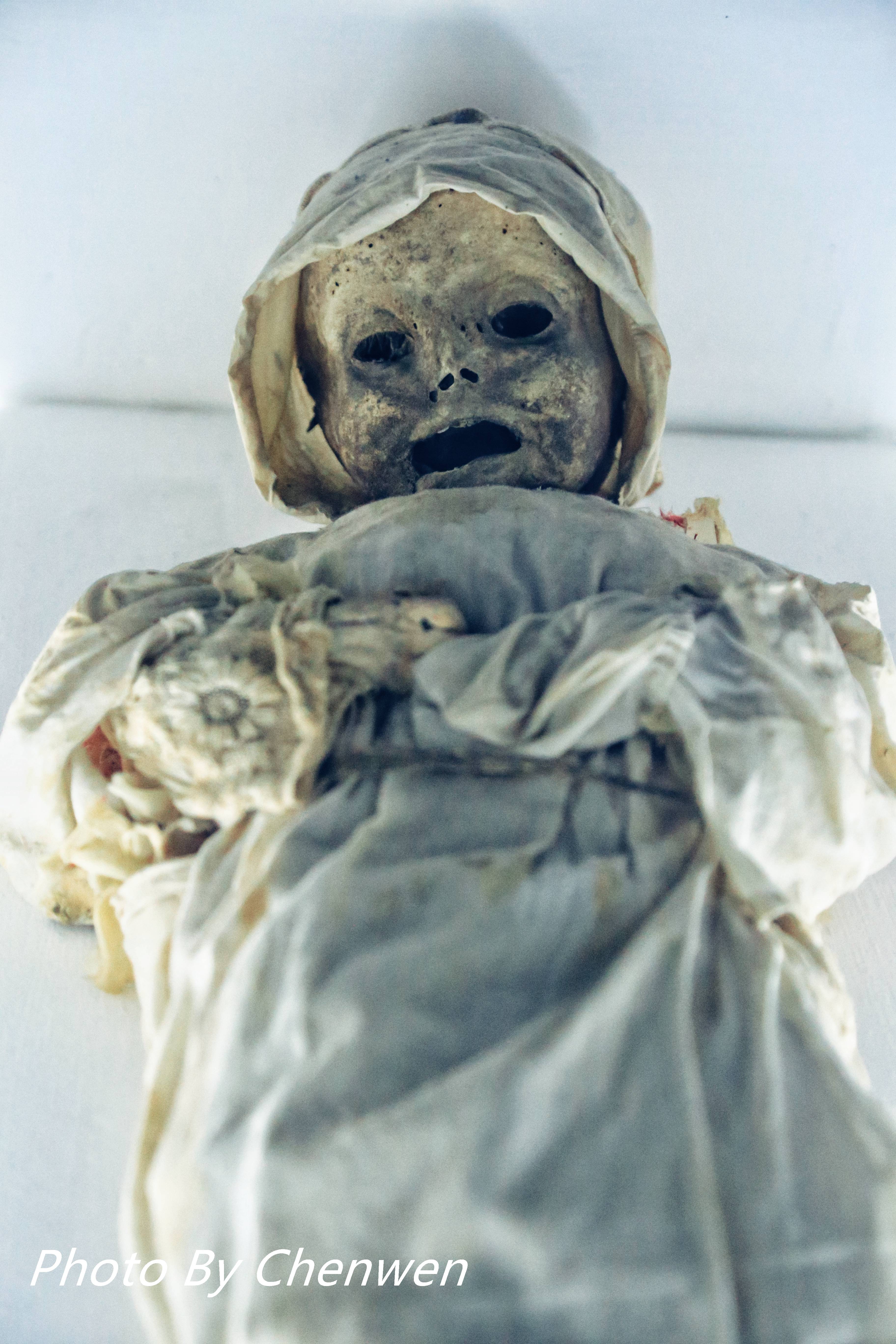 博物馆里还藏着世界上最小的木乃伊,他是一名即将出生的男婴,在抛妇产