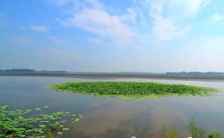 国家湿地公园天然生态宝藏天门张家大湖要腾飞了