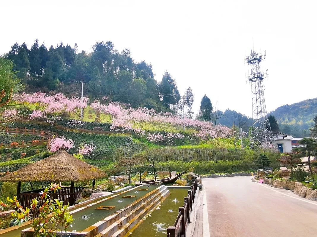 凤冈九龙景区图片图片