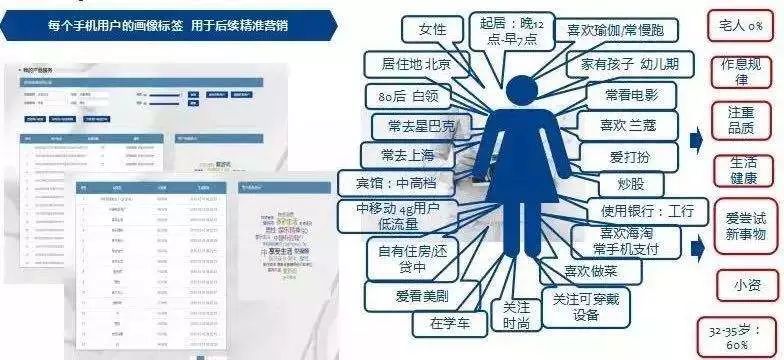 斯金纳的老鼠图片