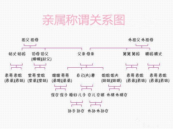 亲戚亲缘关系家谱图图片