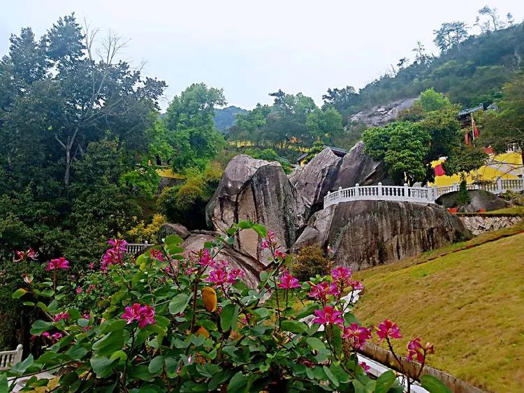 同安莲花旅游景点大全图片