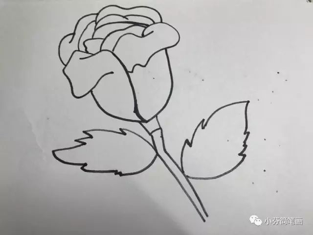 玫瑰花花瓣飘落简笔画图片