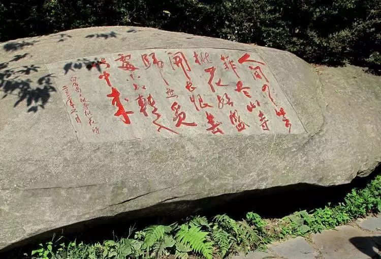 观花径公园,品味庐山上的静谧山水,学习诗词《大林寺桃花》;细听