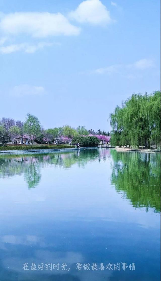 手机壁纸高清春天风景图片