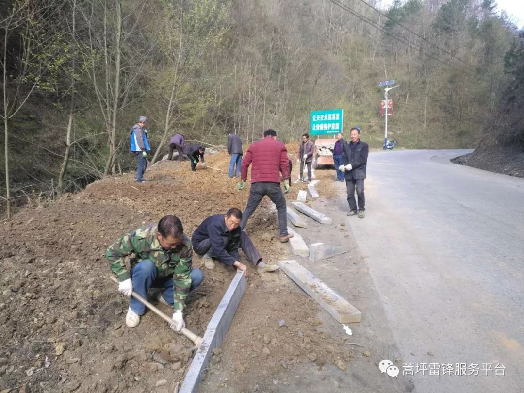 陕西紫阳蒿坪镇春天里的黄金村村民们亲手种下一棵棵黄金树