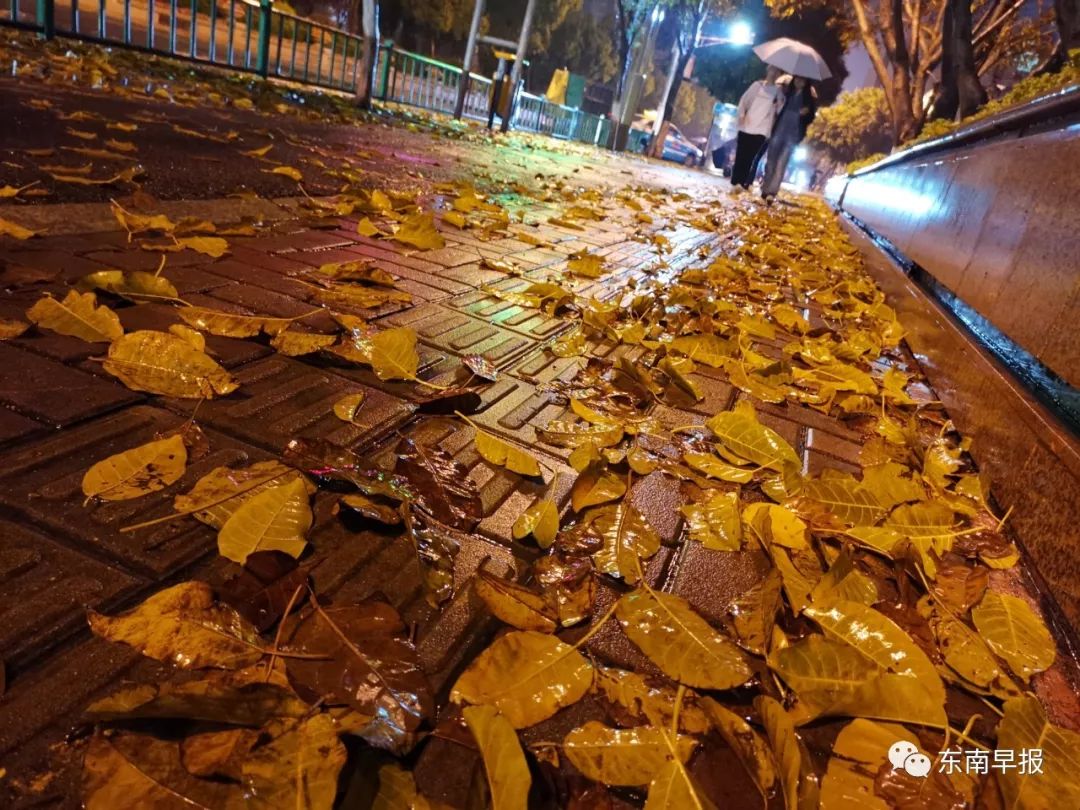 剛剛暴雨突襲泉州多處積水你回家淋雨了嗎明起天氣更要命