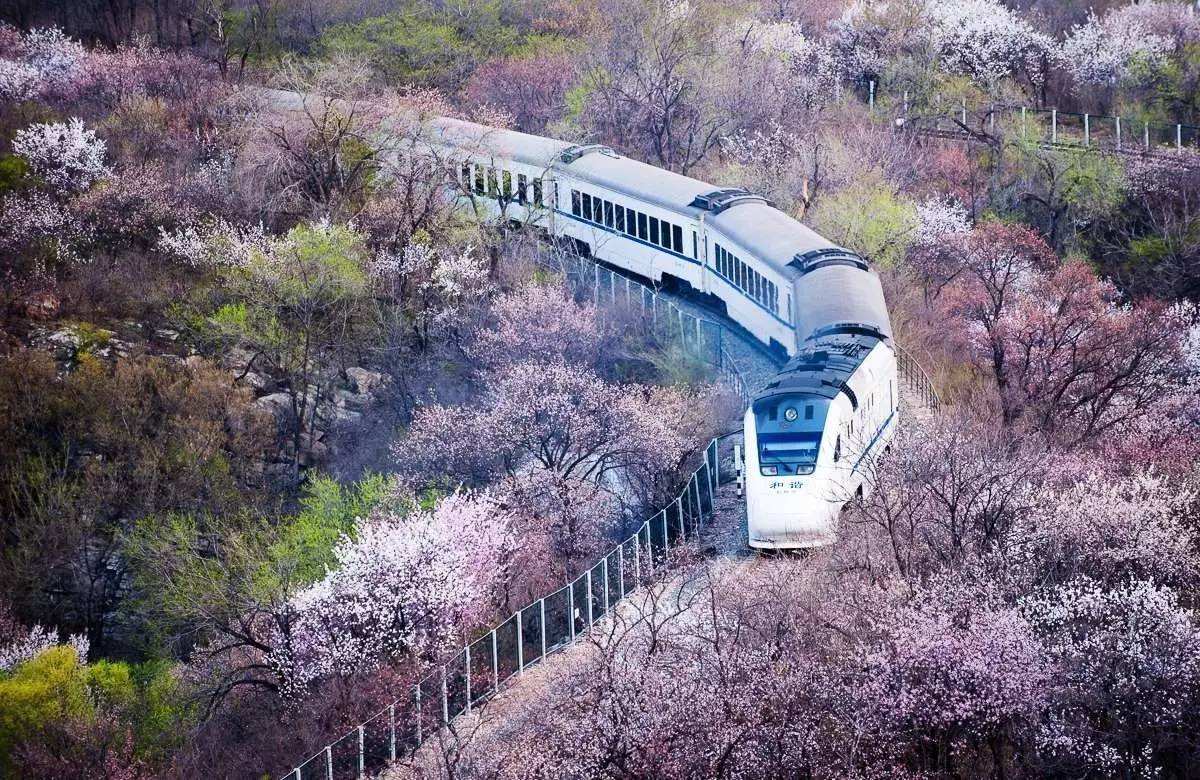 北京开往春天的小火车新的栈道已落成你准备好了吗