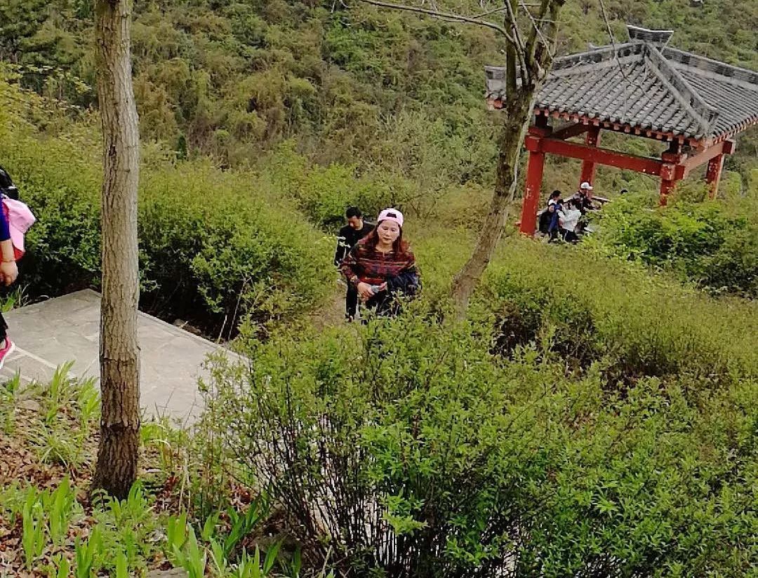 本次活動是在優美的定軍山旅遊景區舉行,活動路線是:勉縣文體中心體育