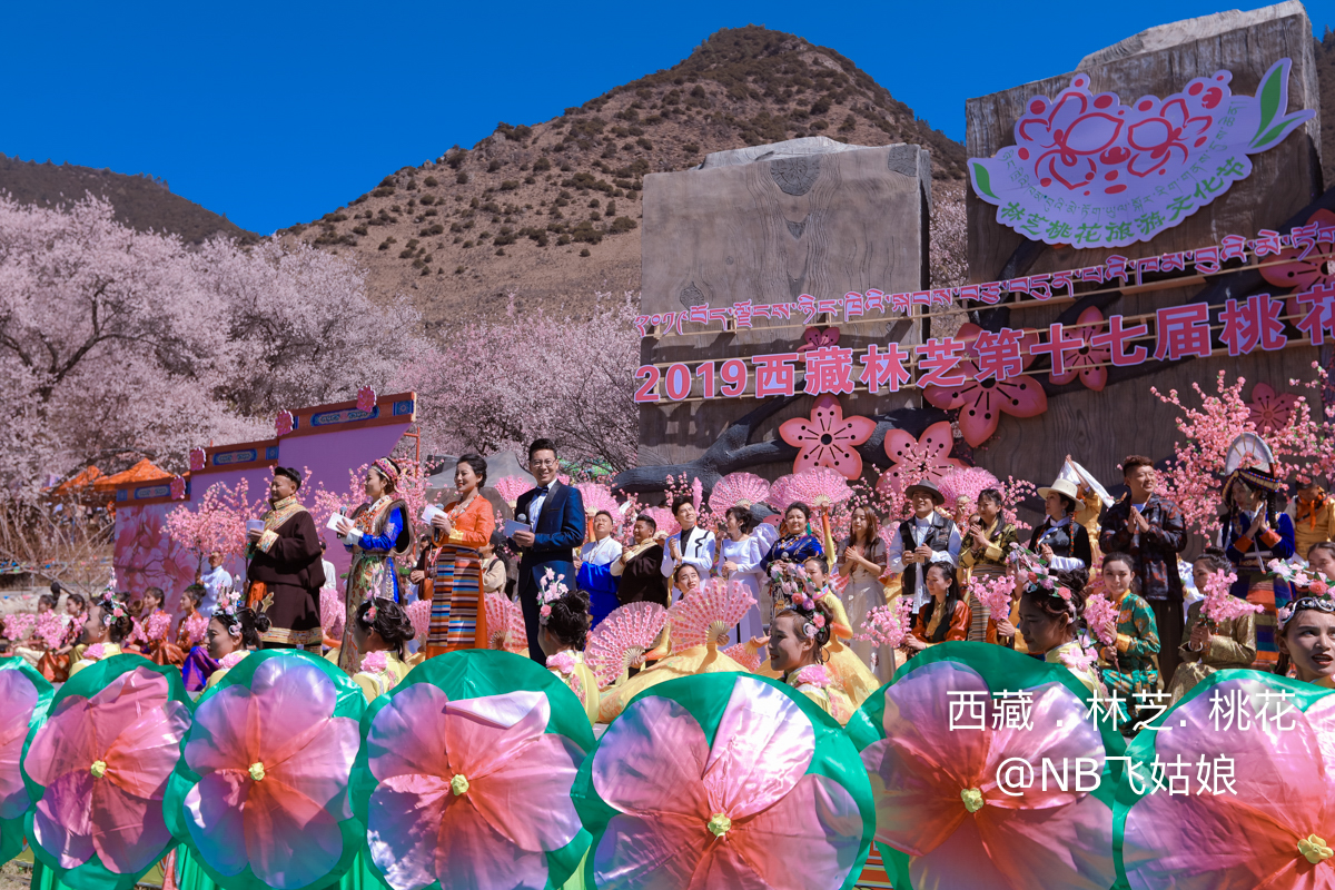 人间净地花盛放,醉美林芝展新颜-西藏林芝市第十七届桃花旅游文化节