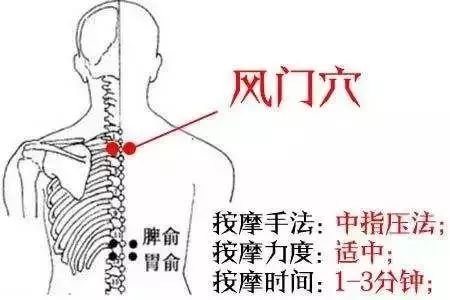 肺俞风门图片