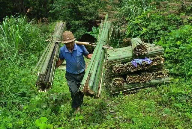 攝影師跟拍3年~只為還原武平傳統造紙術這千年技藝!_竹麻