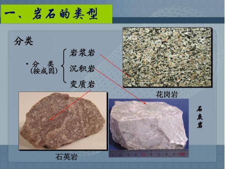 【小长假活动】地质博物馆:探秘更多化石故事