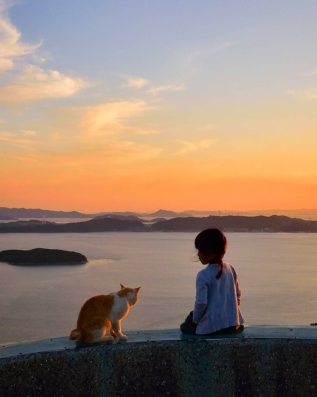 一人一猫孤独背影图片图片