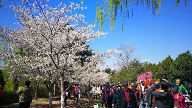 玉淵潭公園北京觀看中央電視塔最好的位置