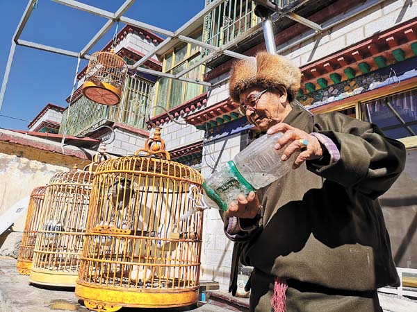 甲子有多少人口_一甲子是多少年