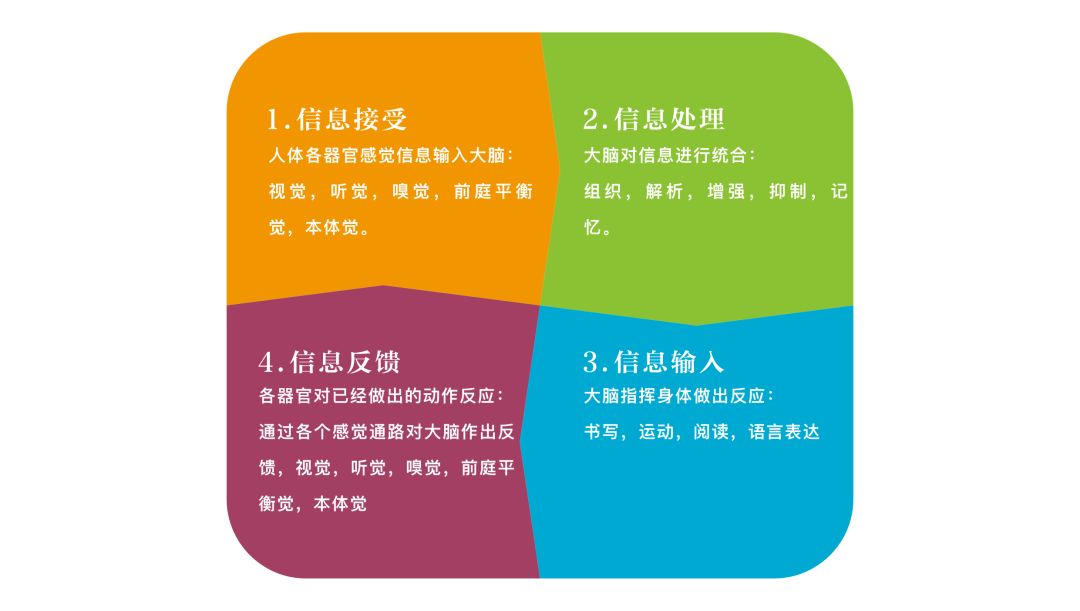 为什么每个儿童都需要感觉统合训练