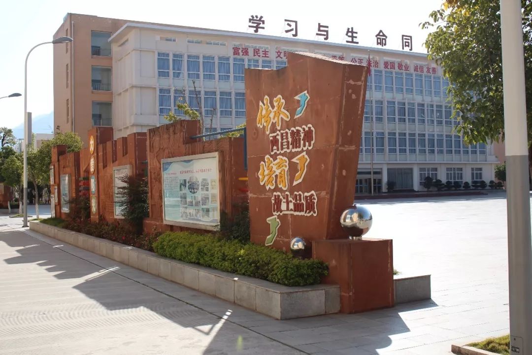 西昌阳光学校大门图片