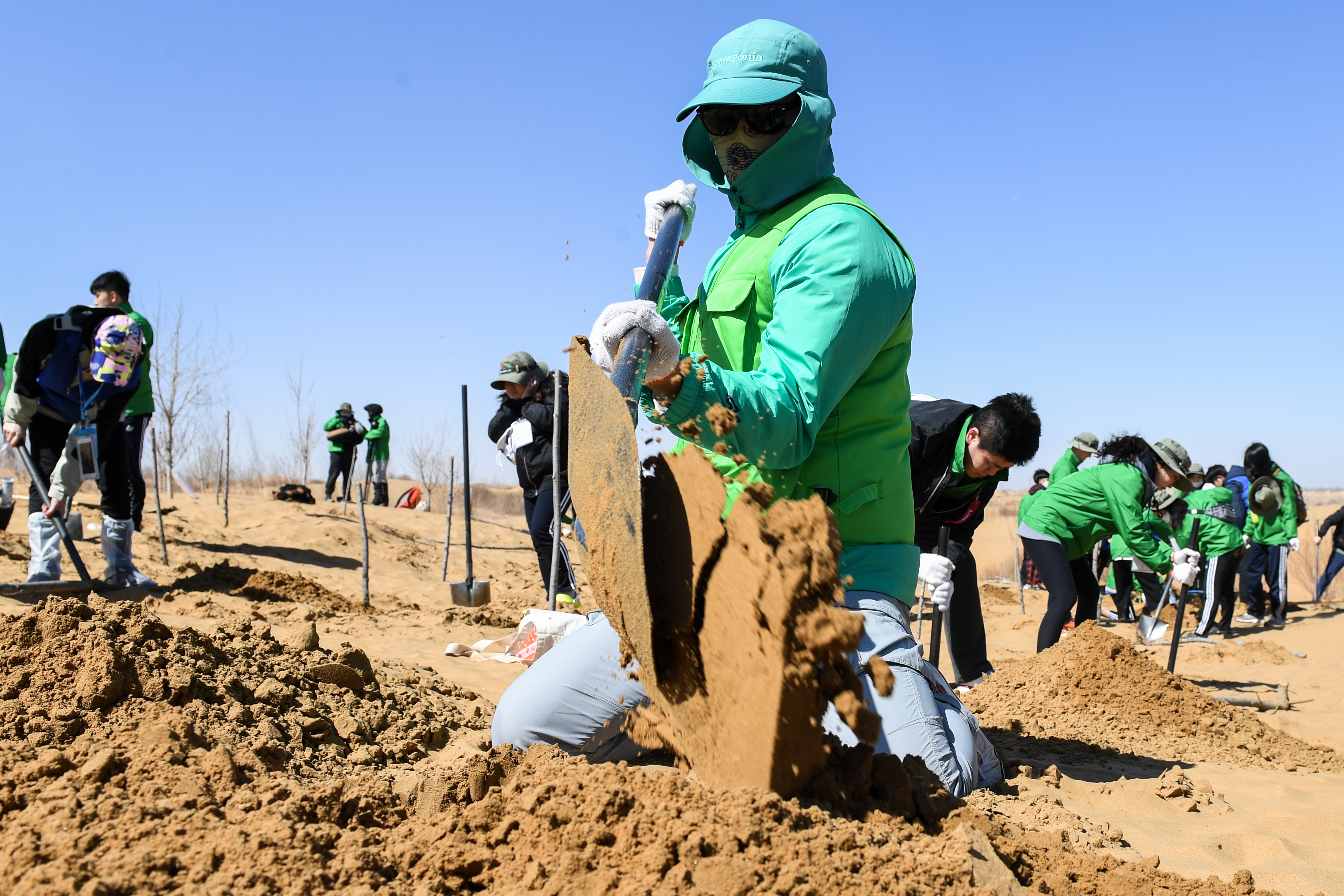 3月31日,参与植树活动的青年志愿者在挖沙坑