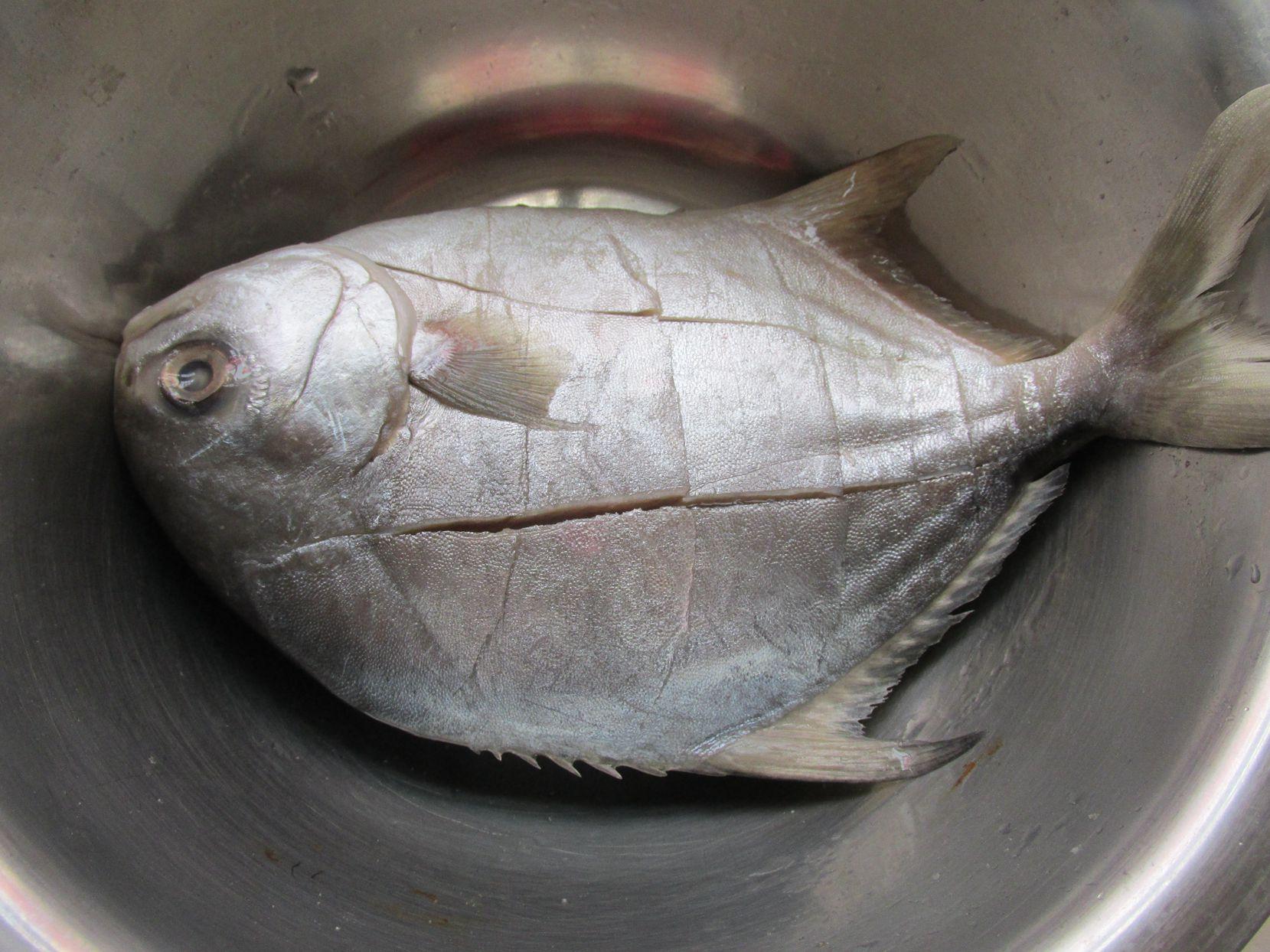 1,银鲳鱼摘洗干净,表面划花刀,这样腌渍会更入味,也会熟的快