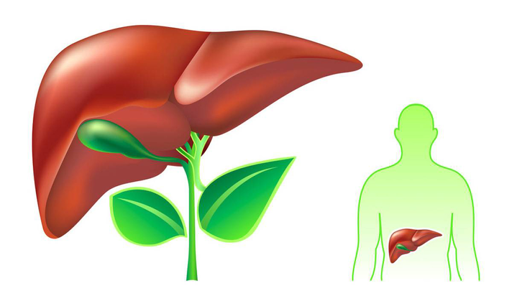肝不好不用怕 教你趕走肝毒還要靠養肝妙招 健康養生讓你護好肝_肝臟