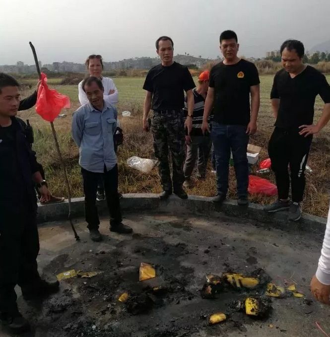 海丰张鸿存事件图片图片