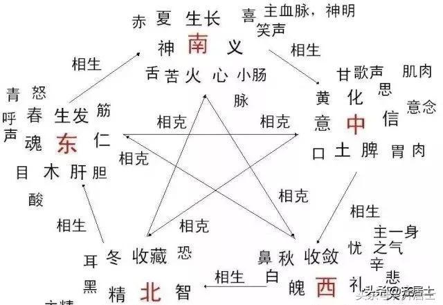 体用生克关系图图片