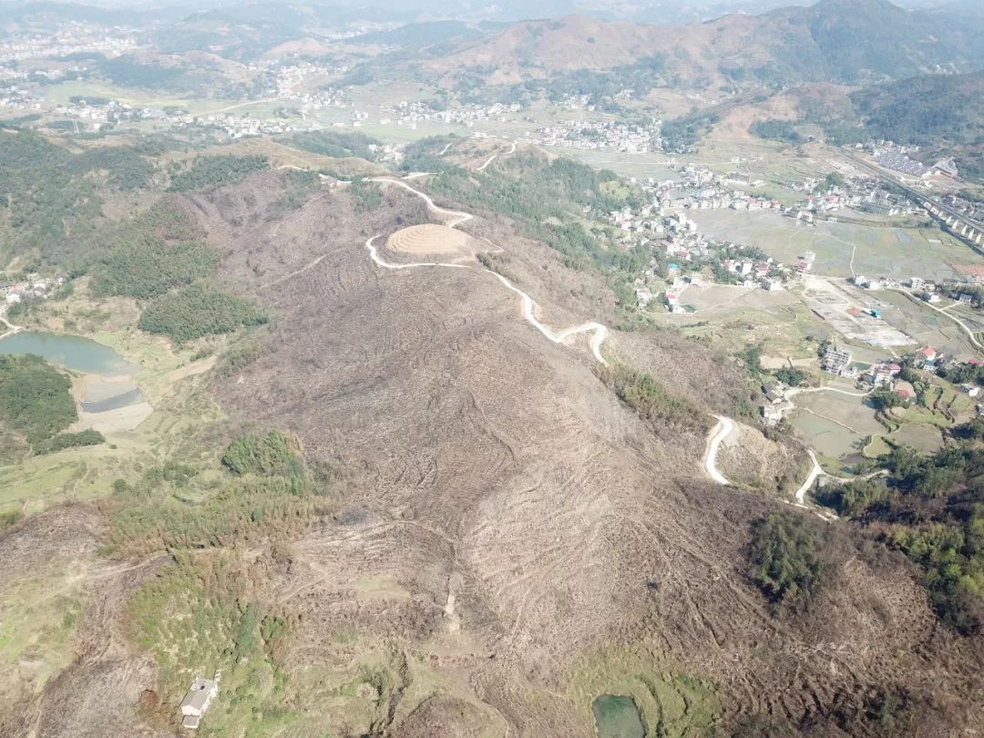 (维山乡维山村"龙台派山场"火灾后航拍图)