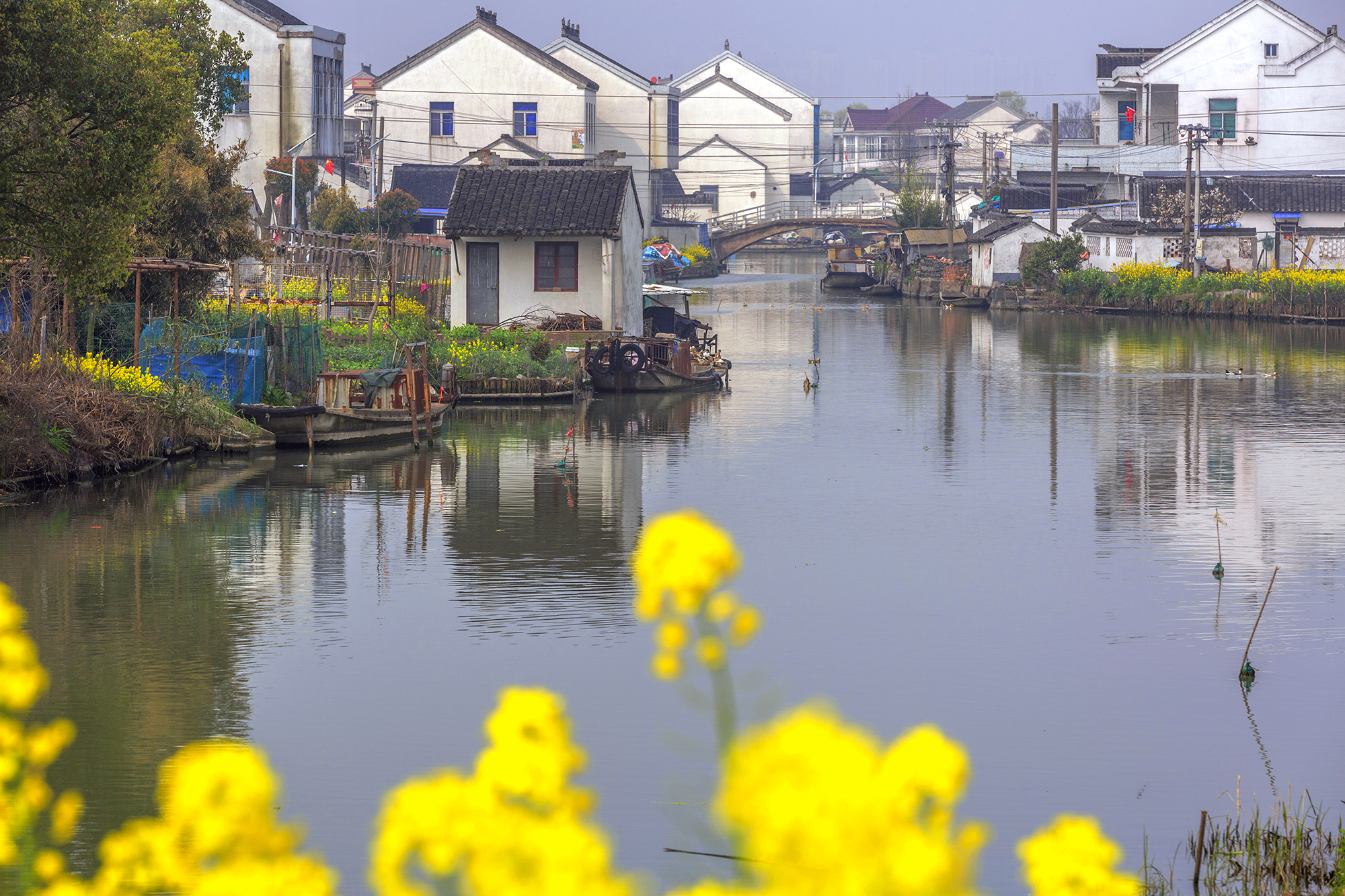 苏州澄湖国际慢城图片