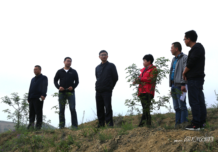 3月30日,贞丰县委书记张玉龙深入白层镇巧苗村,兴龙村,坡们村实地调研