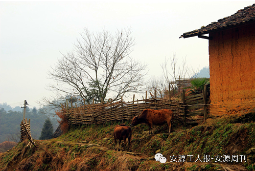 大广山图片