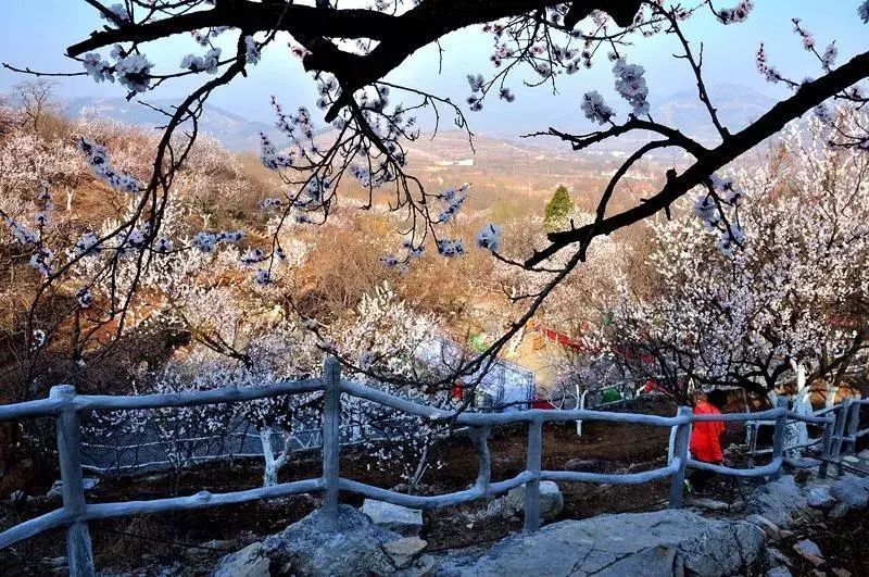 濟南自駕淄博博山牛記庵一日遊