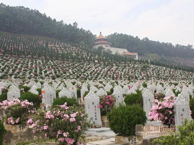 清明节期间,顺德多路段实施交通管制!这些便民信息get起!