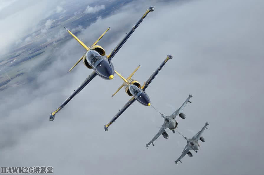 波罗的海三国空军图片