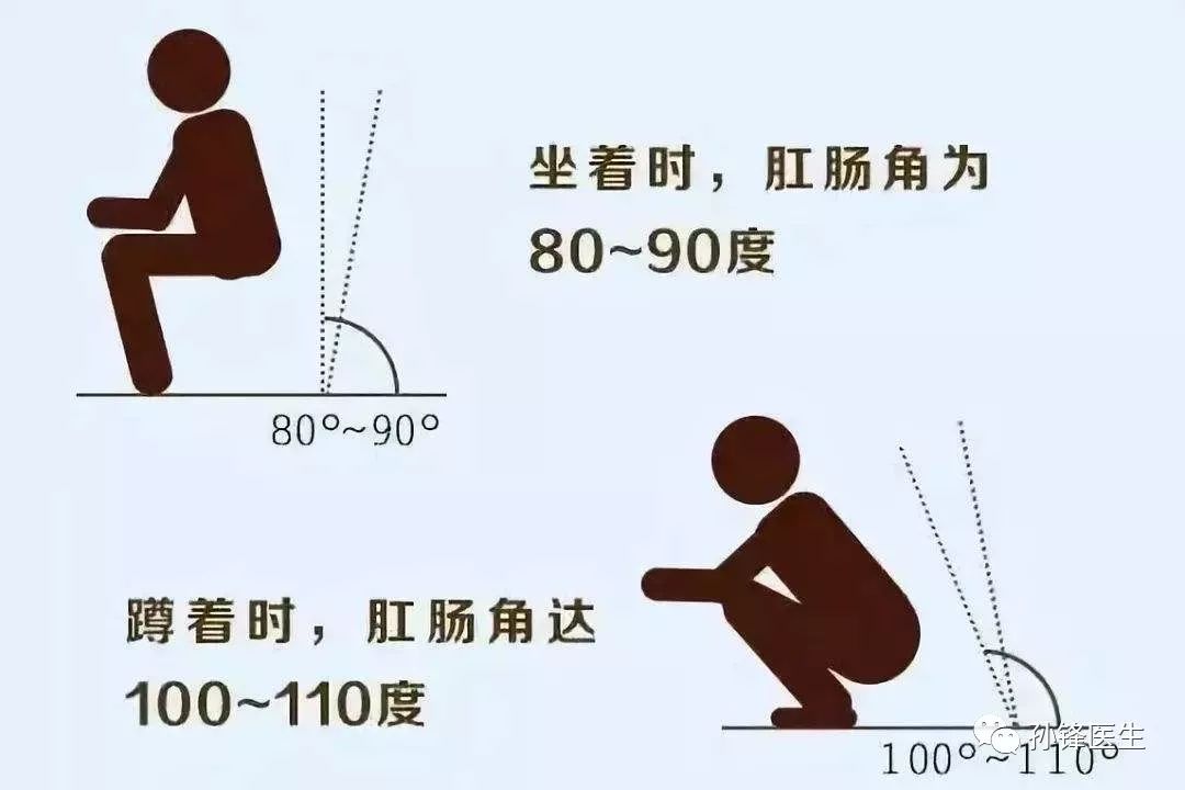 医学蹲位图片图片