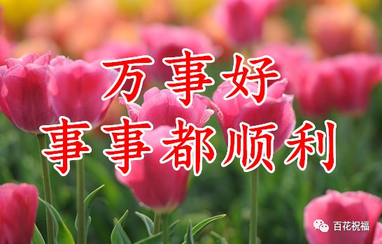 早上好4月第一天一首我的祝福送给你请查收