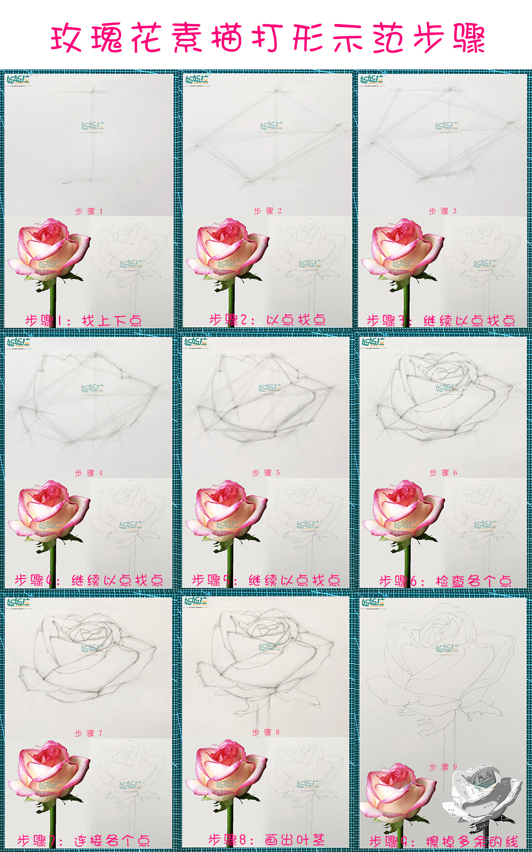 素描玫瑰花设计元素素材免费下载(图片编号:992479)-六图网