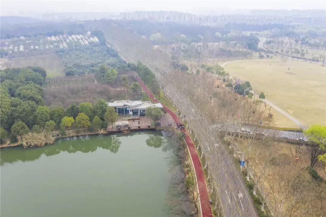 9公里的環紫金山綠道始於板倉街49號,沿琵琶湖公園,景區內環線,環陵路