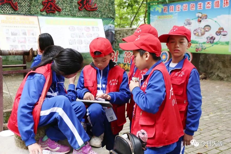 天等县城关小学图片