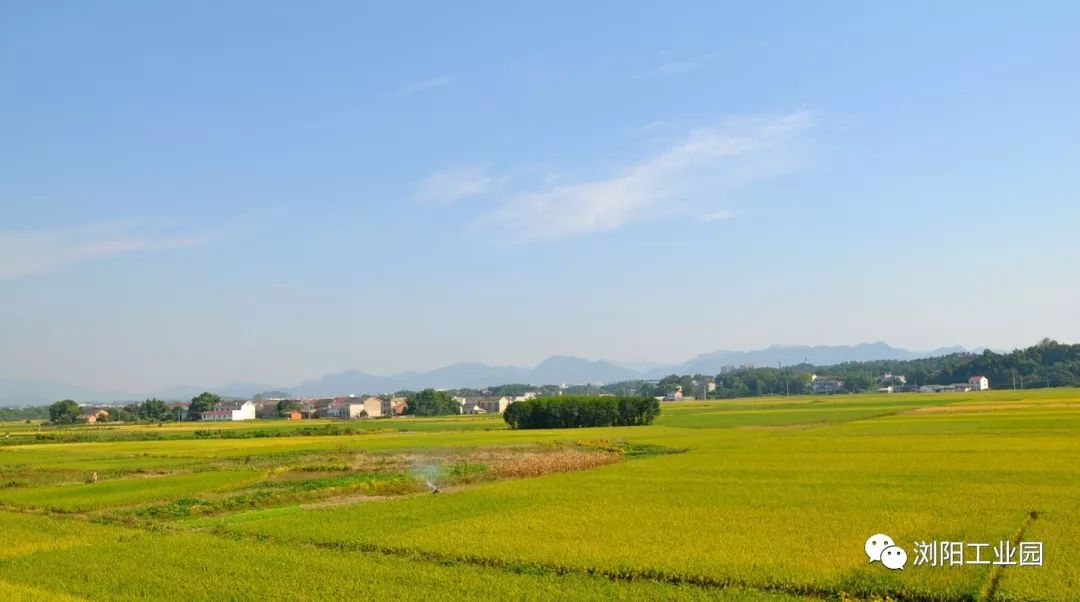 大美洞阳丨在浏阳有个地方叫杨家滩美图视频