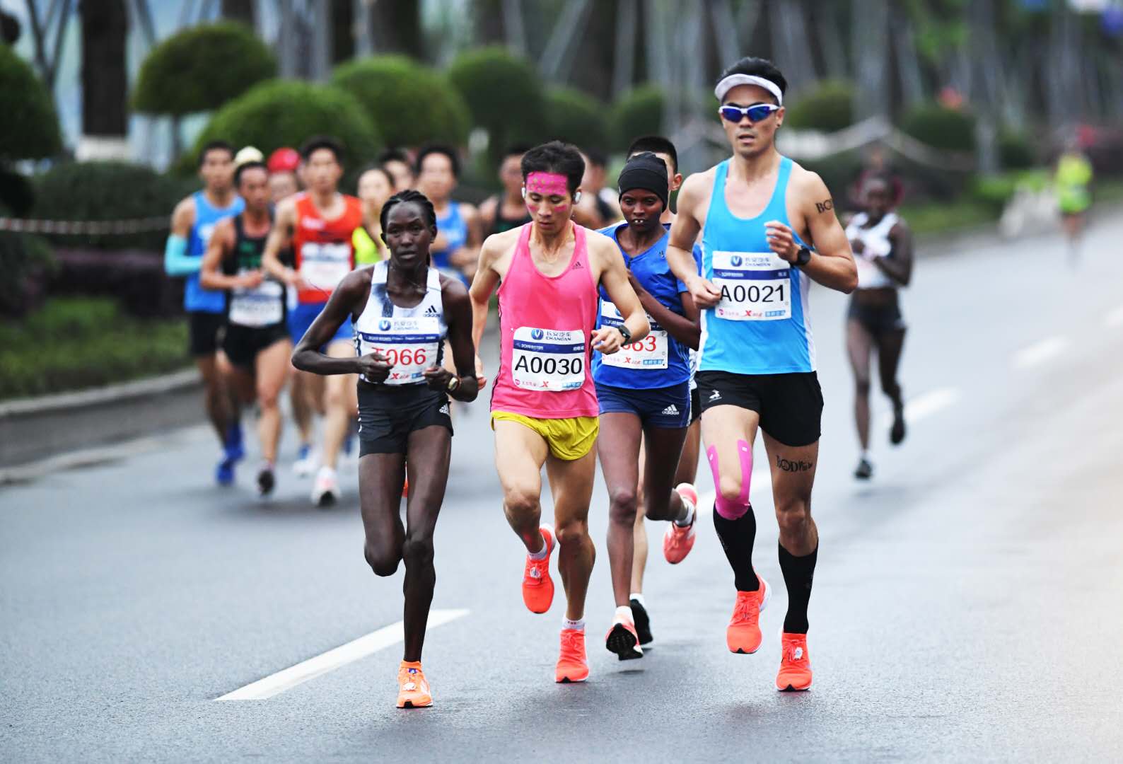 全程马拉松参赛选手里有31名重庆马拉松优秀选手:男选手30人;女选