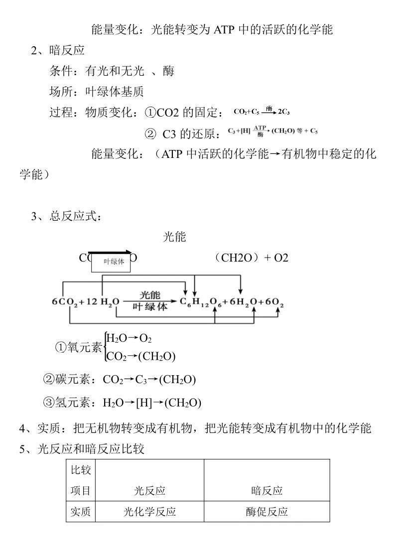 生物 光合作用