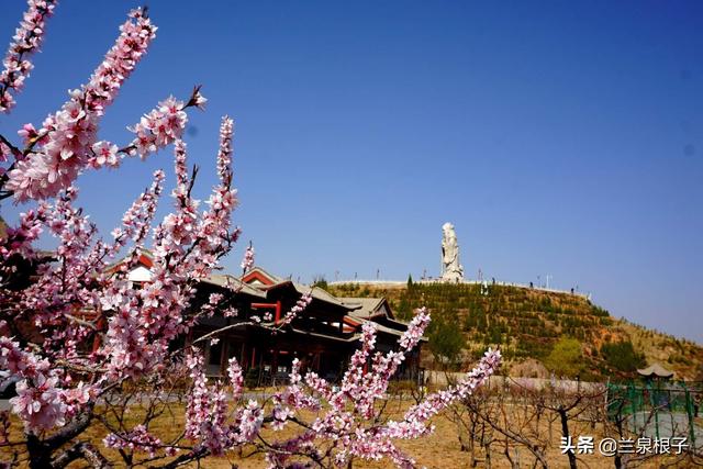 2019年兰州桃花节各项活动即将陆续开启,来兰州安宁仁寿山这里,踏青赏