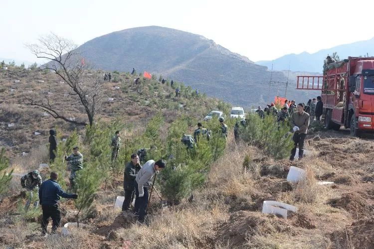 看汪濤書記如何帶大家繪就涉縣生態綠地圖