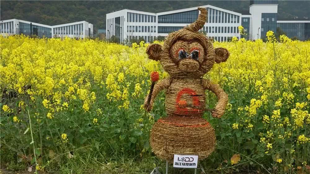 杭州湘湖千畝油菜花海新花樣,快帶寶貝去賞花看稻草人拍照!_造型