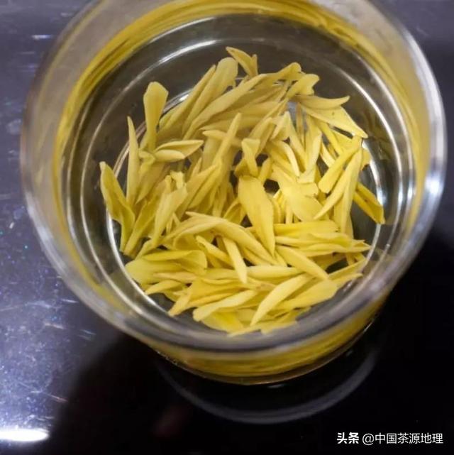 一斤黄金一两茶黄金茶是个什么茶