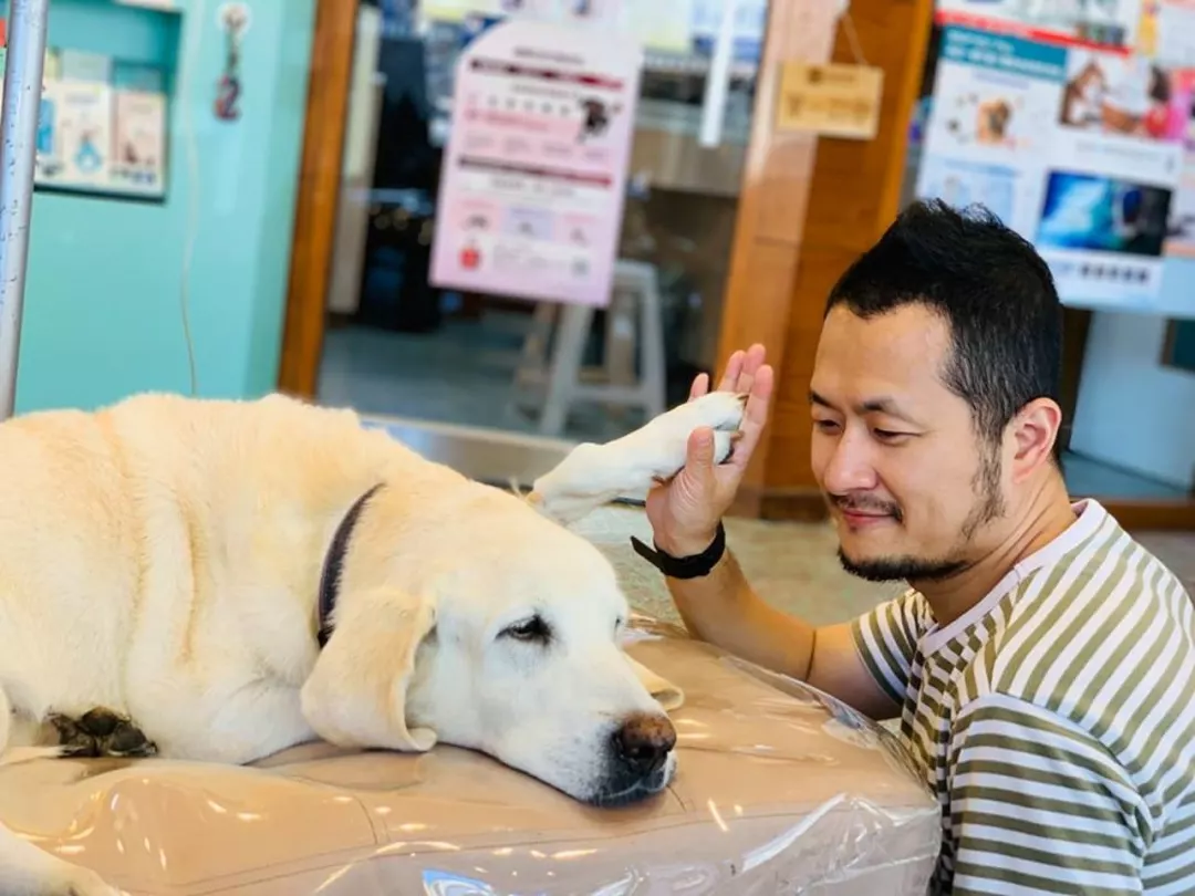 九把刀的爱犬离世：来世还要当你的铲屎官