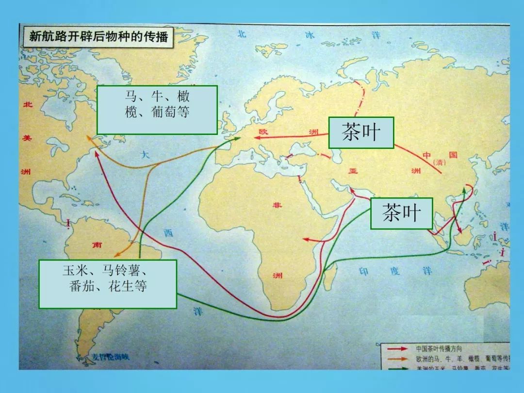 新航路的开辟地图图片