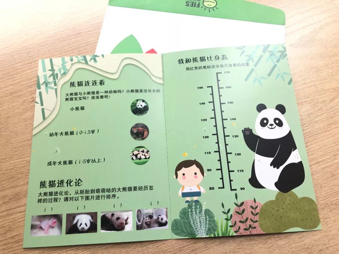 熊猫信息卡简单图片图片